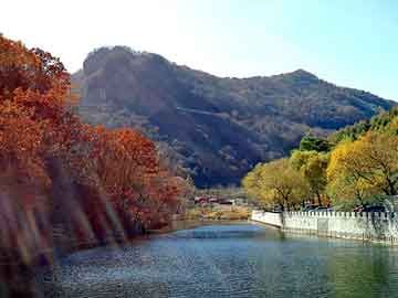 新澳天天开奖资料大全旅游团，加油站闹鬼事件